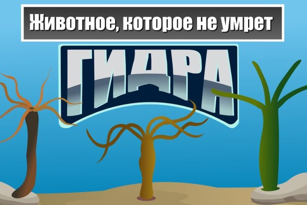 2krn at что такое